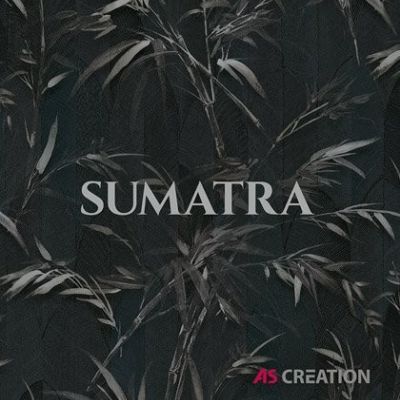 Sumatra tapéta, poszter katalógus