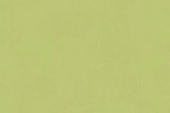 36694-5 cikkszámú tapéta.Egyszínű,különleges felületű,zöld,gyengén mosható,illesztés mentes,papír tapéta