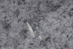 38969-6 cikkszámú tapéta.Beton,kőhatású-kőmintás,ezüst,fekete,illesztés mentes,lemosható,vlies tapéta