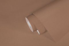 39097-2 cikkszámú tapéta.Egyszínű,barna,illesztés mentes,lemosható,vlies tapéta