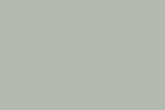 7980 cikkszámú tapéta.Egyszínű,zöld,lemosható,illesztés mentes,vlies tapéta
