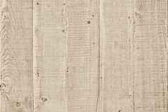 EW1201 cikkszámú tapéta.  tapéta