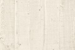 EW1203 cikkszámú tapéta.  tapéta