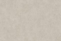 10473-38 cikkszámú tapéta.Csillámos,egyszínű,szürke,illesztés mentes,lemosható,vlies tapéta
