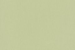 10080-07 cikkszámú tapéta.Egyszínű,zöld,súrolható,illesztés mentes,vlies tapéta