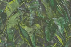 10081-07 cikkszámú tapéta.Természeti mintás,zöld,súrolható,vlies tapéta