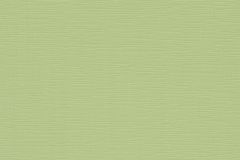 13082-07 cikkszámú tapéta.Egyszínű,zöld,lemosható,illesztés mentes,vlies tapéta