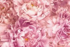 XXL2-009 cikkszámú tapéta.Virágmintás,pink-rózsaszín,sárga,gyengén mosható,vlies poszter, fotótapéta