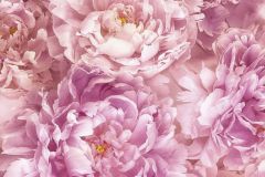 XXL2-009 cikkszámú tapéta.Fotórealisztikus,virágmintás,fehér,pink-rózsaszín,sárga,gyengén mosható,vlies poszter, fotótapéta