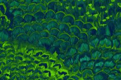 P019-VD2 cikkszámú tapéta.Természeti mintás,zöld,vlies poszter, fotótapéta