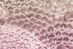 P028-VD2 cikkszámú tapéta.Absztrakt,barna,pink-rózsaszín,vlies poszter, fotótapéta