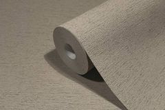 33371 cikkszámú tapéta.Egyszínű,barna,illesztés mentes,súrolható,vlies tapéta