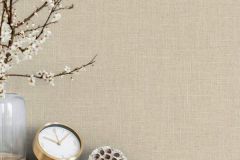 33392 cikkszámú tapéta.Egyszínű,barna,illesztés mentes,súrolható,vlies tapéta