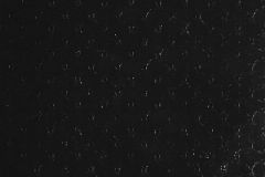 21-CAVIAR cikkszámú tapéta.Bőr hatású,fekete,gyengén mosható,papír tapéta