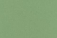 537918 cikkszámú tapéta.Egyszínű,zöld,illesztés mentes,lemosható,vlies tapéta